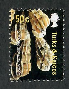 Turks and Caicos #1468 Shells used single