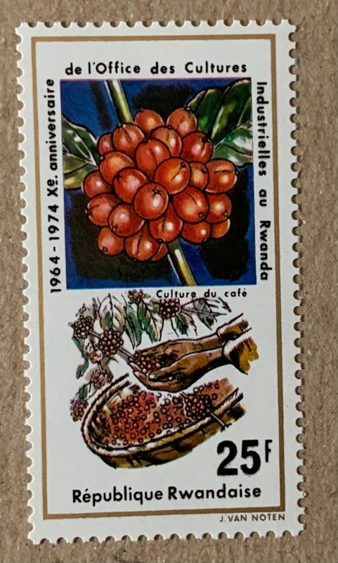 Rwanda 1975 25f Coffee beans single from MS, MNH. Scott 640, CV $1.40