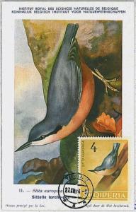 MAXIMU CARD - Fauna animals BIRDS : ALBANIA 1964  #8
