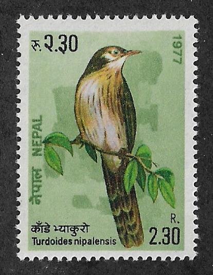 334,MNH