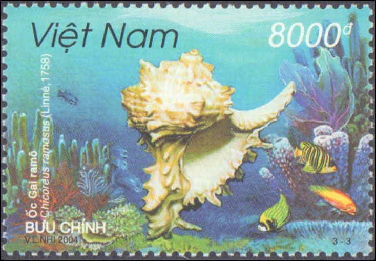 Viet Nam, Democratic Republic #3208-3210, Complete Set(3), 2004, Sea Shells, NH