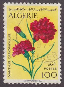 Algeria 498 Carnations 1973