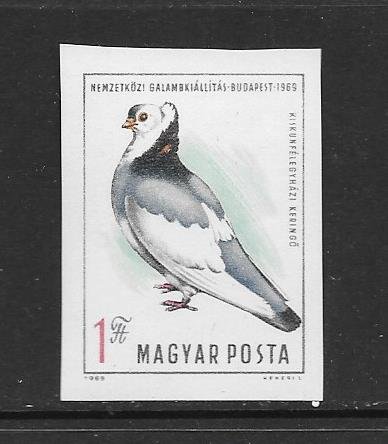 BIRDS - HUNGARY #2016  PIGION-IMPERF  MNH