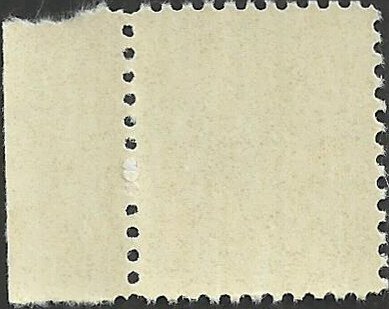 # 1511 Mint Never Hinged ( MNH ) ZIP CODE