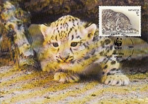 Kyrgyzstan 1994 Maxicard Sc #29 10t Snow leopard WWF