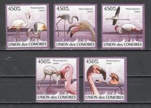 Comoros Is., 2009 issue. Flamingos, Birds set of 5 IMPERF values. ^