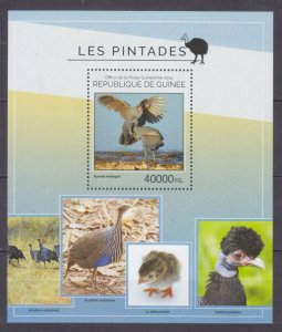 2014 Guinea 10566/B2408 Birds - Pentades 16,00 €