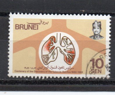 Brunei 276 used (B)