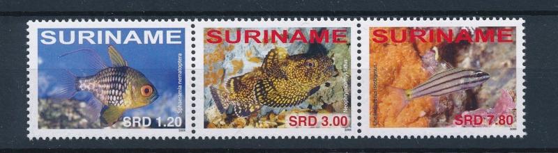 [SU1511] Suriname Surinam 2008 Fish  MNH