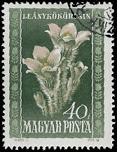 HUNGARY   #907 USED (1)
