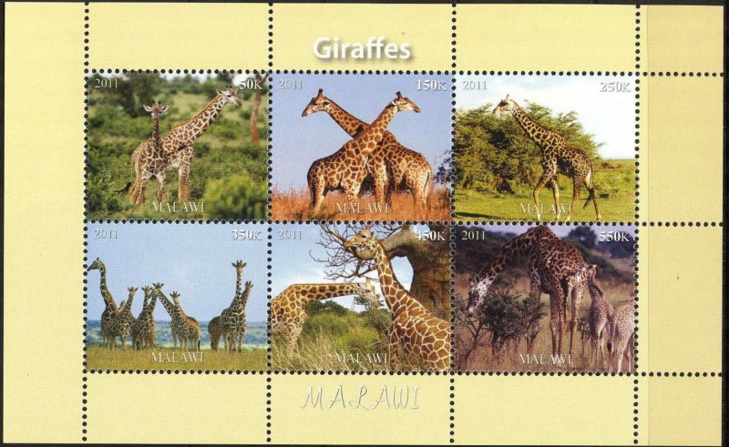 Malawi 2011 Animals Giraffes (2) MNH Cinderella !