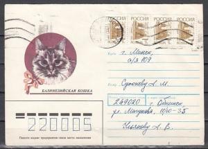 Russia, 1991 issue. Cat Cachet on Mailed Postal Envelope. Canceled. ^