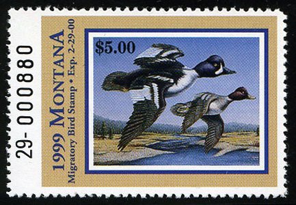 United States, Duck Hunting - State #MT47 Cat$11, Montana, 1999 $5 Barron's G...