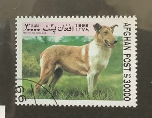 Afghanistan 1999  Mi 1858 CTO - 3000afs, dogs, Smooth Collie