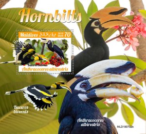 Maldives 2019 MNH Birds on Stamps Hornbills Great Hornbill 1v S/S