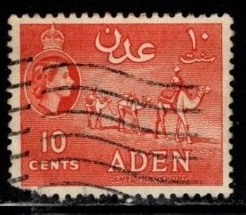 Aden -  #49 Camel Transport  -  Used