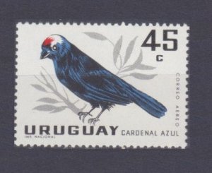 1962 Uruguay 943 Birds