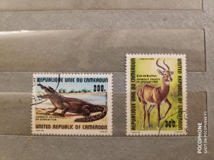 Cameroon	animals (F7)