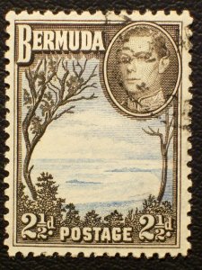 Bermuda Scott #120A used