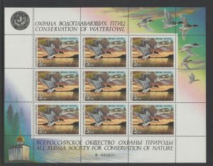 RD2 - Russia Duck Stamp. Souvenir Sheet Of 9. MNH.