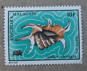 Malagasy 1973 10fr Shells, MNH.  NOTE small scuff. Scott 482, CV $0.45