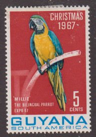 Guyana 34  Macaw Parrot 1968