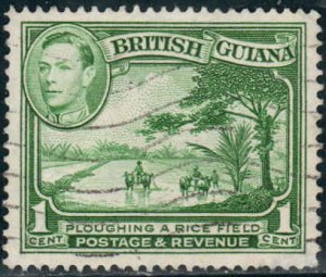 British Guiana  #230b  Perf 14x13 Used CV $1.00