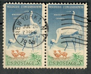 1098 Socked on the Nose Used pair - SON