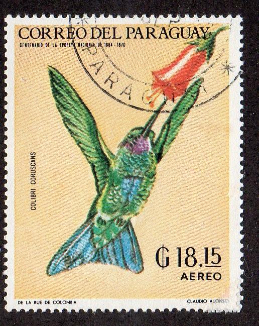 Paraguay 1168 - CTO-NH  -Sparkling Violetear Hummingbird (A)