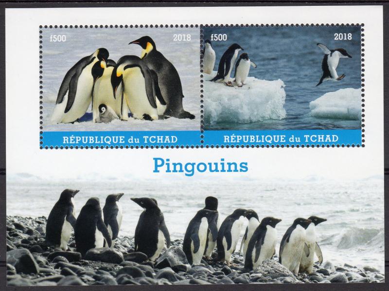 Chad 2018  Penguins in the Antarctic Souvenir Sheet Perforated MNH