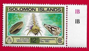 SOLOMAN ISLANDS SCOTT#493 1983 12c SEASHELLS - MH