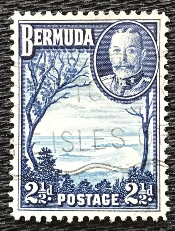 Bermuda #110 Used Single Grape Bay L21