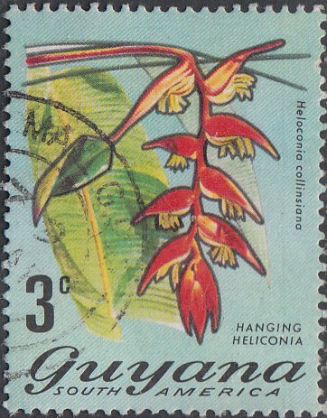 Guyana #135   Used