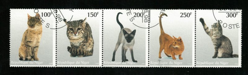 Animals, Cats (R-593)