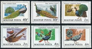 1977 Hungary 3185-3190 Peafowl and pheasants