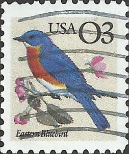 # 2478 USED EASTERN BLUEBIRD    