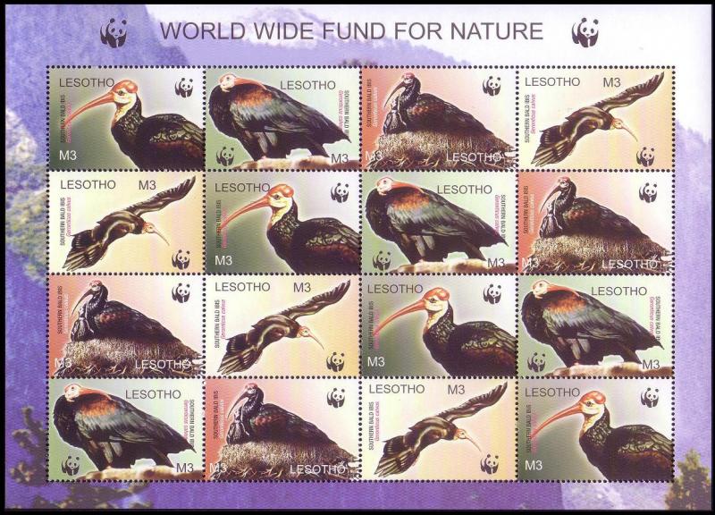 Lesotho WWF Southern Bald Ibis Birds Sheetlet of 4 sets SG#1934/37 SC#1336 a-d