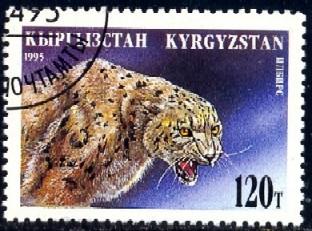 Snow Leopard, Wild Animal, Kyrgyzstan stamp SC#54 used