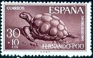 Ethiopian Tortoise, Fernando Po stamp SC#B12 Mint