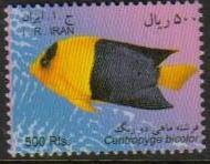 Iran MNH Scott #3055C Fish small size 500 Rial Free Shipping