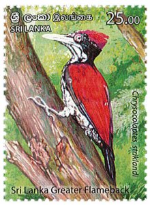 2021 Sri Lanka Endemic Birds (6) (Scott 2285-90) MNH