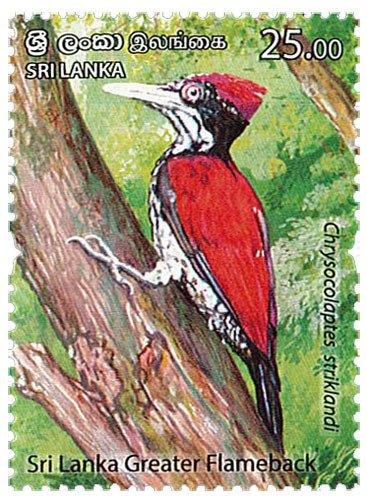 2021 Sri Lanka Endemic Birds (6) (Scott 2285-90) MNH