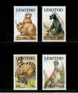Lesotho 1988 - Wildlife Animals Badger - Set of 4 Stamps - Scott #655-8 - MNH