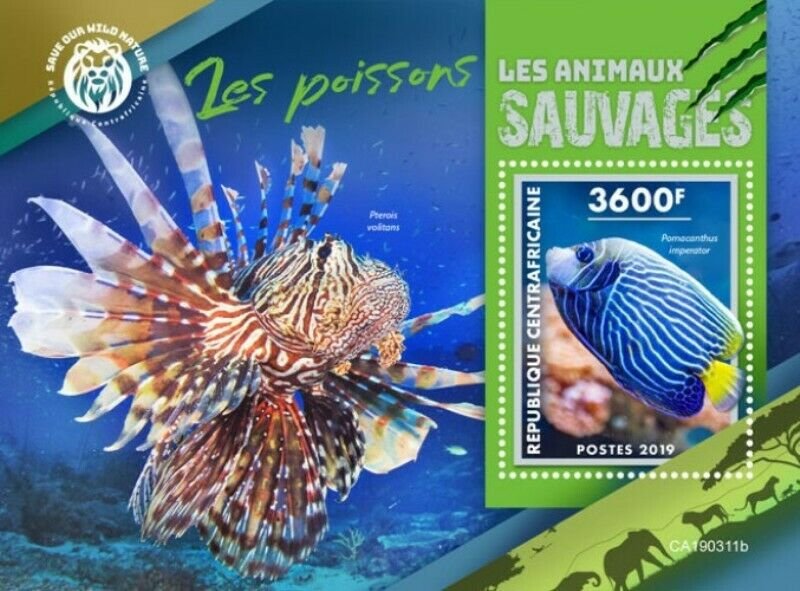 Central Africa - 2019 Wild Animals Fishes - Stamp Souvenir Sheet - CA190311b