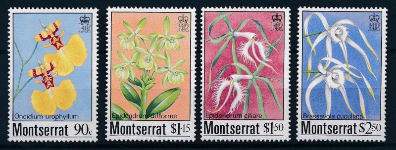 [62689] Montserrat 1985 Flora Flowers Blumen Orchids MNH