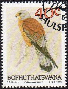 Bophuthatswana 230 - Used - 40c Lesser Kestrel (1989) (cv $2.33)