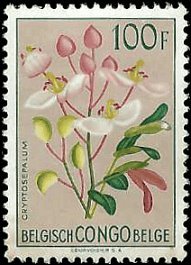 BELGIAN CONGO   #284 MH (1)