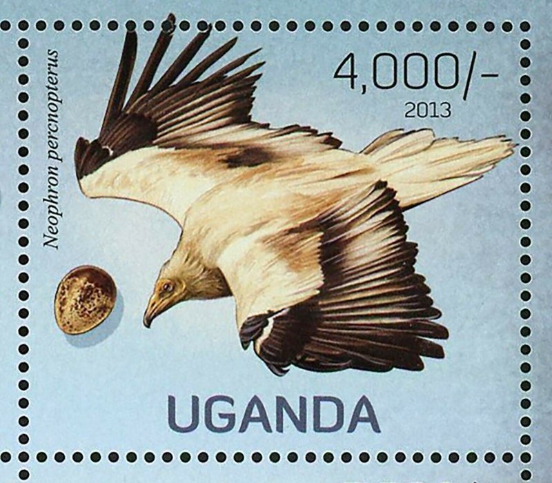 Birds Stamp Rynchops Flavirostris Haematopus Moquini Psittacus S/S MNH #3010-301