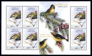 [93303] Dominica 2009 Birds Vögel Oiseaux Goldcrest Sheet MNH