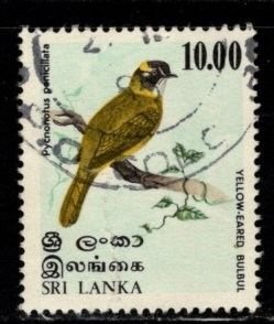 Sri Lanka #569 Yellow Eared Bulbul - Used